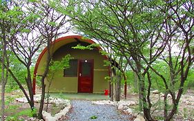 Mopane Village Lodge Etosha オカウクエジョ Exterior photo