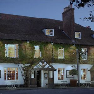 ホテル The Leicester Arms Penshurst Exterior photo