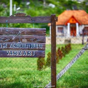 ホテル Casa Agricultorului Varzari Butuceny Exterior photo