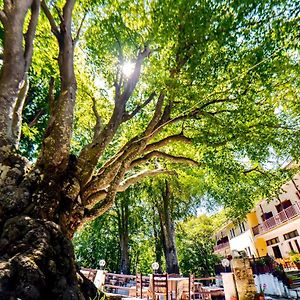 Hotel Hani Zisi Pelion Exterior photo