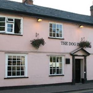 The Dog Inn ハルステッド Exterior photo