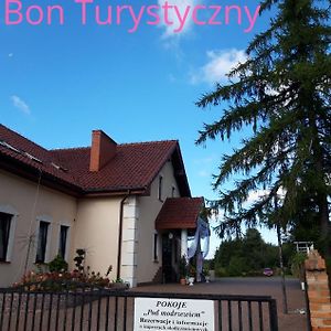 Florczaki Pensjonat Agroturystyczny Pod Modrzewiem Bed & Breakfast Exterior photo