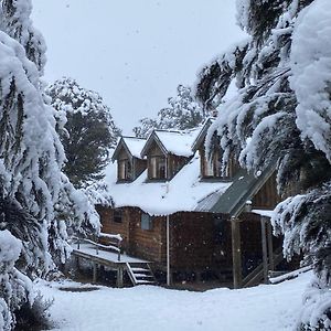 Charlies Cabin - Mt Lyfordヴィラ Exterior photo