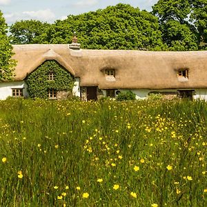 Beaworthy Hay Meadow Farm Bed & Breakfast Exterior photo