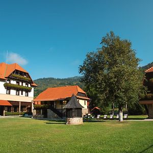 Villa Gherman Sălciua de Jos Exterior photo