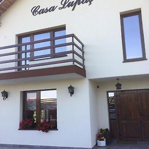 ホテル Pensiunea Casa Lupas Gilău Exterior photo