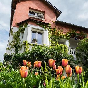 サン・サトゥル L'Abri Du Viaduc Bed & Breakfast Exterior photo