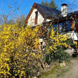 Florentin-la-Capelle Le Casino Bed & Breakfast Exterior photo