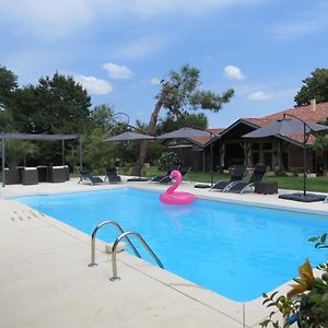 Caumont-sur-Garonne Les Terrasses Des Mimosas Bed & Breakfast Exterior photo