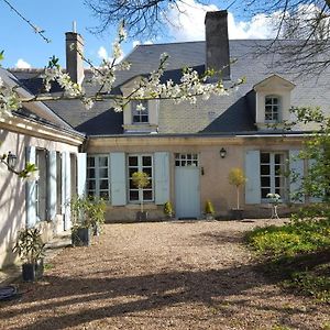 Prunay-Cassereau La Maison Celadon Bed & Breakfast Exterior photo