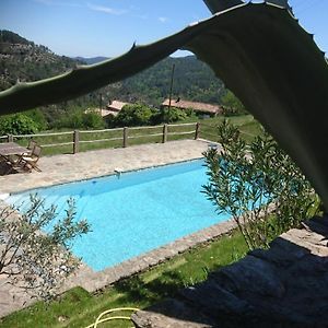 Saint-Martin-de-Boubaux Le Mercou En Cevennes Bed & Breakfast Exterior photo