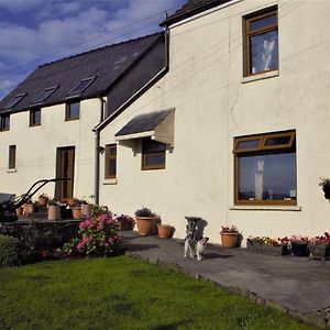 Llanedy Plas Newydd Farm Bed & Breakfast Exterior photo