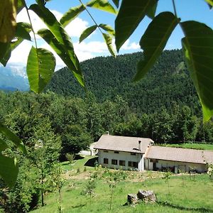 Platischis Bosco Delle Rune ..Un Angolo Di Paradiso Bed & Breakfast Exterior photo