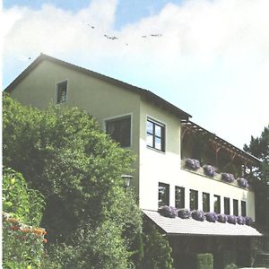 ホテル Landgasthaus Zum Erlengrund Emskirchen Exterior photo