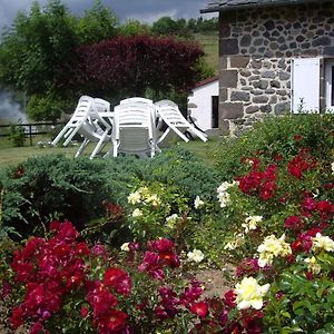 Saint-Cernin  Ferme De Lamourio Bed & Breakfast Exterior photo