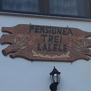 ホテル Pensiunea Trei Lalele モイセイ Exterior photo