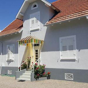 Offendorf Au Berceau Du Loup Agile Bed & Breakfast Exterior photo