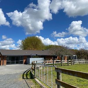 Tamahere Unique Equestrian Lifestyle Bed & Breakfast Exterior photo