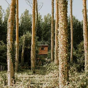 AngucianaBonita Cabana De Los Arboles En La Rioja , Durmiendo Entre Arbolesアパートメント Exterior photo