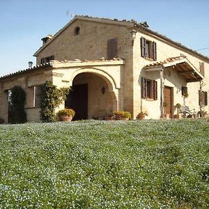 Cupramontana Cascinale La Mimosa Bed & Breakfast Exterior photo