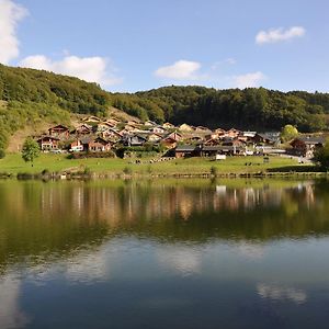 Rieden  Eifel & See - Ferienhaeuser Am Waldsee Rieden/Eifelヴィラ Exterior photo