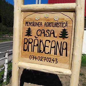 Pensiunea Agroturistica Casa Bradeana アルバク Exterior photo