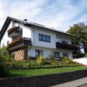 ホテル Pension Haus Ludwig ショッテン Exterior photo