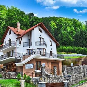 Charming Villa In A Private Mountain Resort ブラショフ Exterior photo