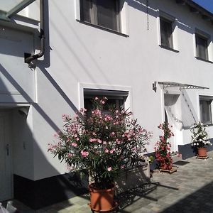 Niederkirchen bei DeidesheimFerienhaus Fam. Bisgenアパートメント Exterior photo