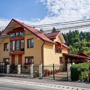 ホテル Casa Cu Flori モイセイ Exterior photo