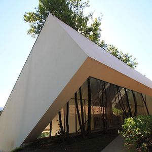 Slope Design Villa - Architecture Villa With Private Pool ポンテ・デ・リマ Exterior photo