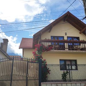 ホテル Casa Piatra Craiului Zărneşti Exterior photo