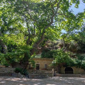 Agios Georgios  Joy: Artist'S Stone House With Countryside Viewsヴィラ Exterior photo