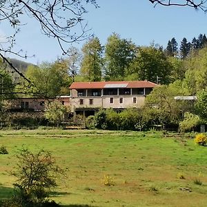 Labastide-Rouairoux B And B Sycomore, La Bouriotte Bed & Breakfast Exterior photo