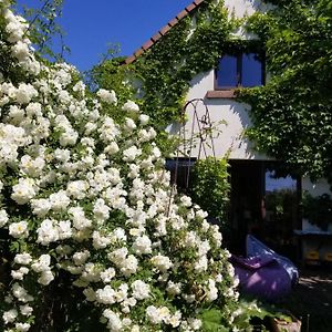 Westhouse Chambre D'Hotes De Charme, Un Temps En Foret Bed & Breakfast Exterior photo