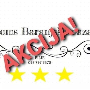 Rooms Baranjska Oaza ビリェ Exterior photo