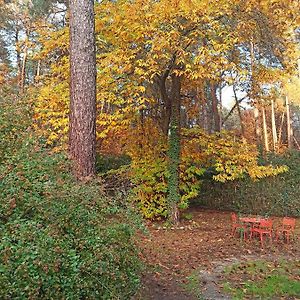 ホテル L'Oasi Nel Bosco ソンマ・ロンバルド Exterior photo