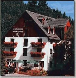 Landhotel Osterlamm Beierfeld Exterior photo