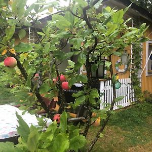 Apple Tree Cabin With River Views アーベスタ Exterior photo
