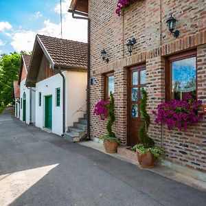 Kneževi Vinogradi Podrumi Kolar "Suza Baranje"ゲストハウス Exterior photo