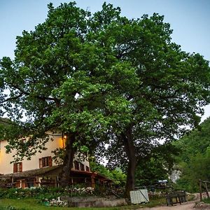 チェッレート・ディ・スポレート Agriturismo Le Due Querceヴィラ Exterior photo