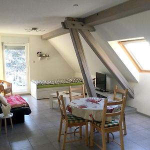 Appartement Cosy A Lohr 45 M² Avec Parking Inclus Exterior photo