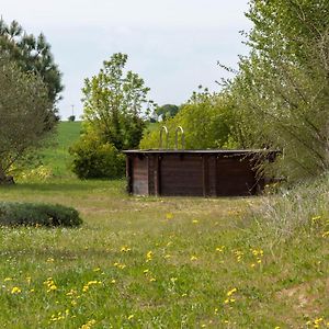 Catonvielle La Decouverte, Jacuzzi, Sauna, Et Terrasse Avec Vue Sur Lac A La Campagne Entre Toulouse Et Auchヴィラ Exterior photo