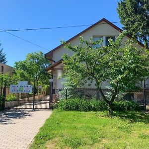 Villa Viktoria Nyíregyháza Exterior photo