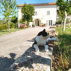 Caiazzo Le Piracante Bed & Breakfast Exterior photo