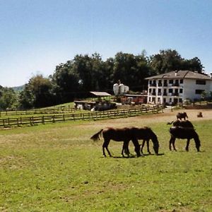 Rueglio Favetto Family Ranch Bed & Breakfast Exterior photo