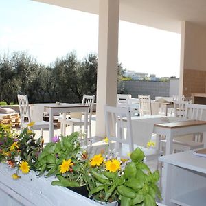 Piccolo Ulivo B&B Salento ヴェルノレ Exterior photo