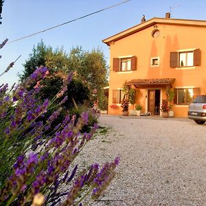 ホテル Locanda Della Lavanda サン・クレメンテ Exterior photo