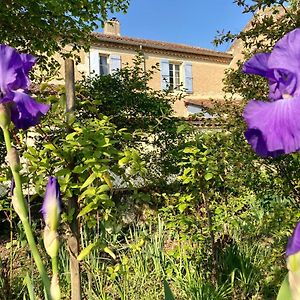 Valence-sur-Baïse Le Petit Cochon Bed & Breakfast Exterior photo