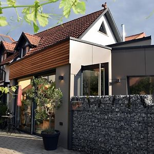 WillanzheimWinzerhof & Weincafe Guempeleinアパートメント Exterior photo